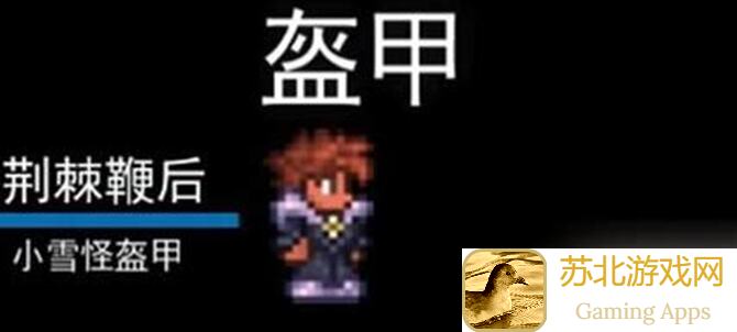 泰拉瑞亚新手肉前的极好配饰：泰拉之焰靴，如何搭配才能战力飙升？