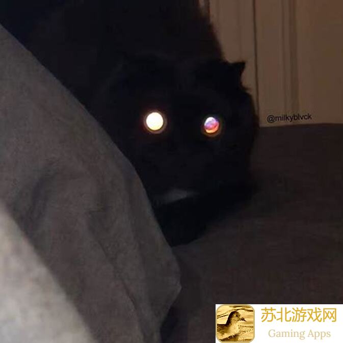 异世界勇者狂暴300副本攻略：完美配装雕文被动属性，轻松秒变战神！