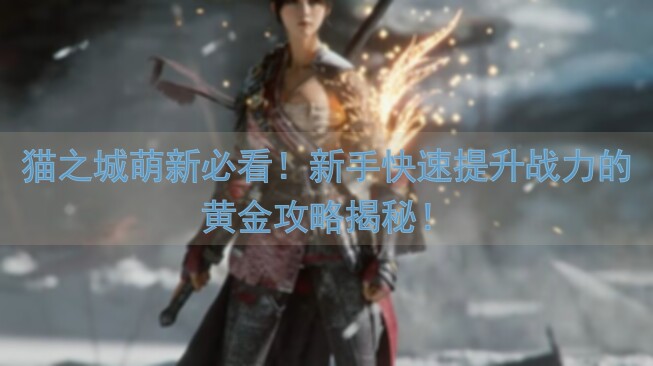 猫之城萌新必看！新手快速提升战力的黄金攻略揭秘！