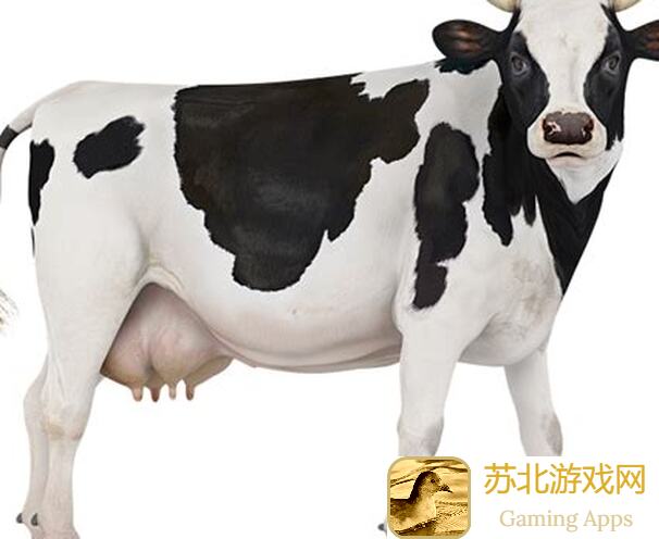奶牛镇的小时光：球球祝福全攻略，让你立刻秒变最强祝福大师！