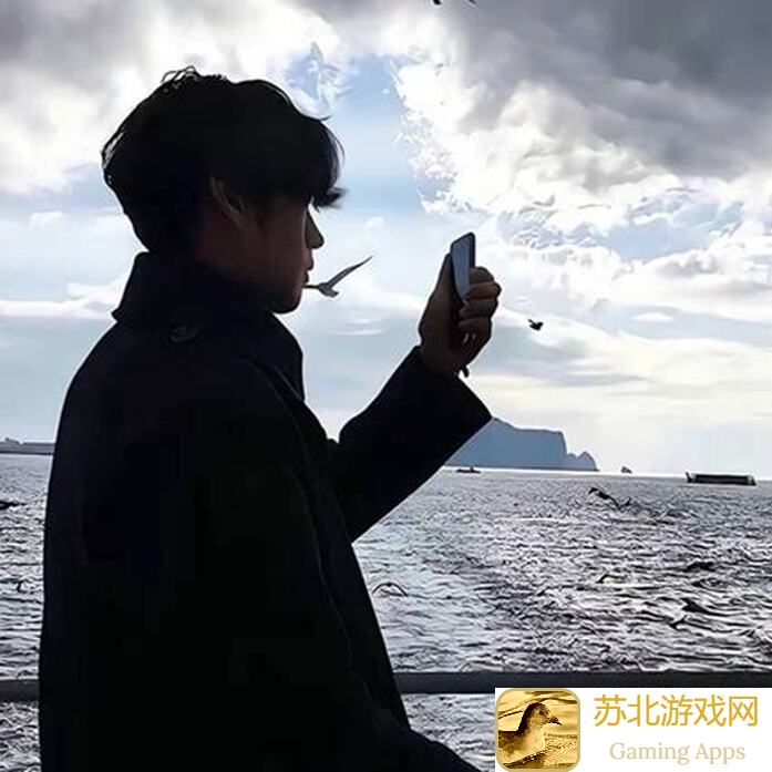 雷索纳斯乘员档案卡莲全攻略!玩转副本技巧大揭秘