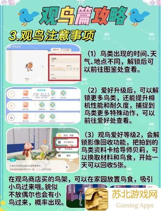 看完这篇攻略，你就能轻松成为心动小镇的观鸟大师，快速赚钱!