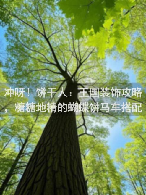 冲呀！饼干人：王国装饰攻略，糖糖地精的蝴蝶饼马车搭配秘籍大揭秘！