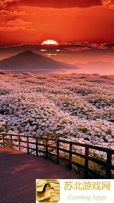 绝区零可琳威克斯培养攻略：新手入门指南