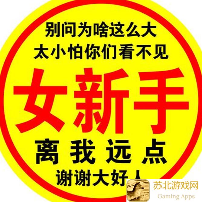 新手必看!流浪方舟十二胜阵容推荐与选择指南