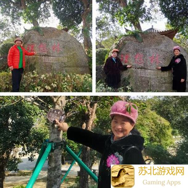 晚安森林生活开启大海生日狂欢，北北生日抽奖福利大放送！
