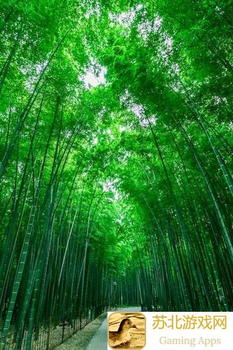 江湖风云录再战风云！被暴打后的夜芒秘籍，实战攻略揭秘，新手必看新技能包登场！