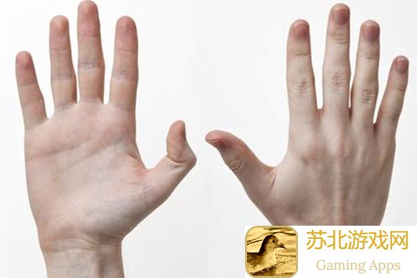 手把手教你快速提升战力！见习猎魔团萌新的黑塔来啦，值不值一看便知？