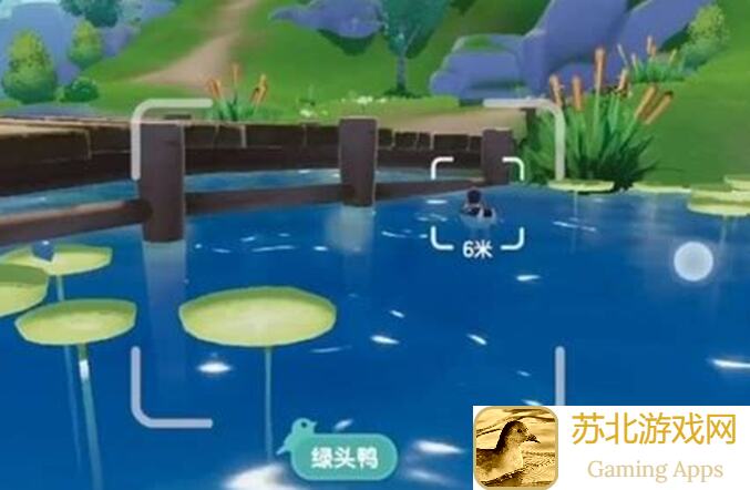 心动小镇观鸟爱好全图鉴解锁秘籍抢先看!