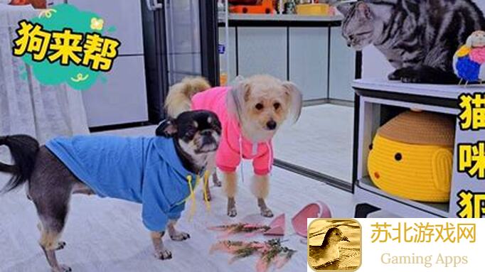 必看！如何高效打碎星楼修罗榜：一点小心得分享