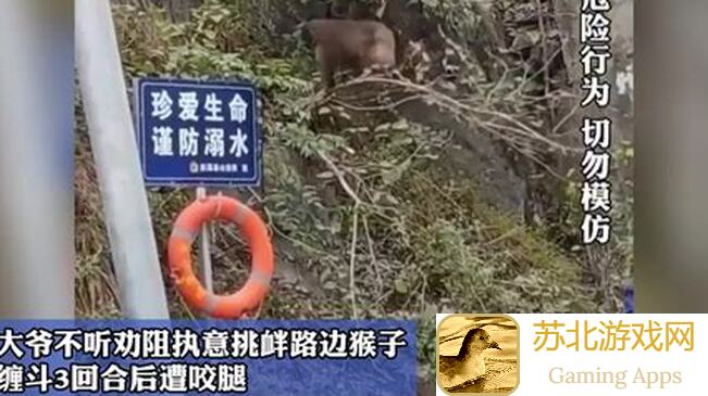 假未来世界狗子巨像3天缠斗三百回合，零氪党也能震惊全场！