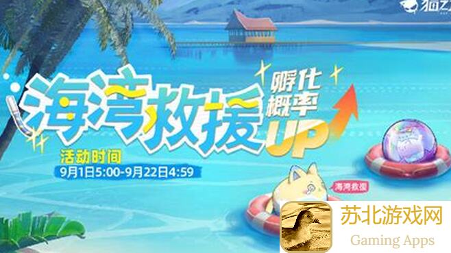 猫之城邂逅夏之海：揭秘隐藏英雄必备攻略指南！